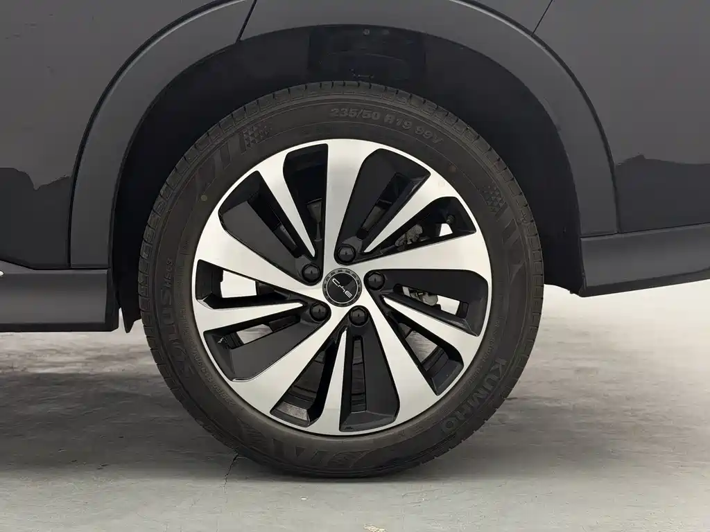 BYD PLUS New Energy 2024 — фото 19