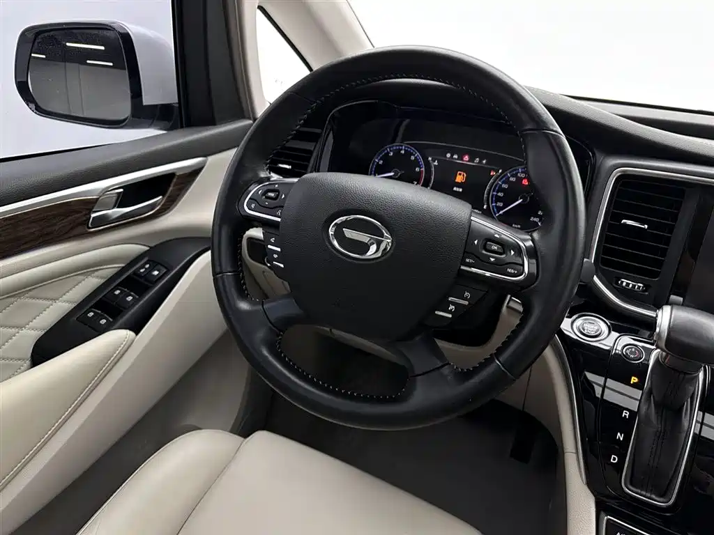 GAC Trumpchi M8 2019 — фото 10