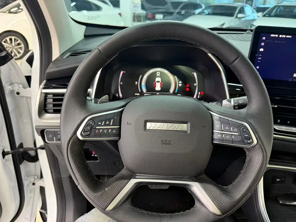 Haval H6 2022 — фото 10