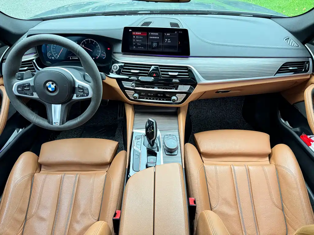 BMW 5 Series 2019 — фото 19