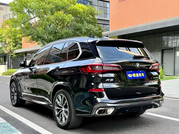 BMW X5 New Energy 2021