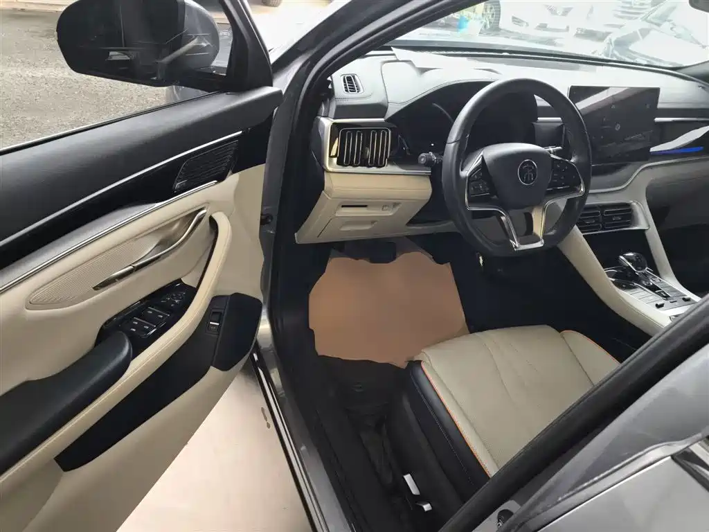 BYD PLUS New Energy 2022 — фото 16