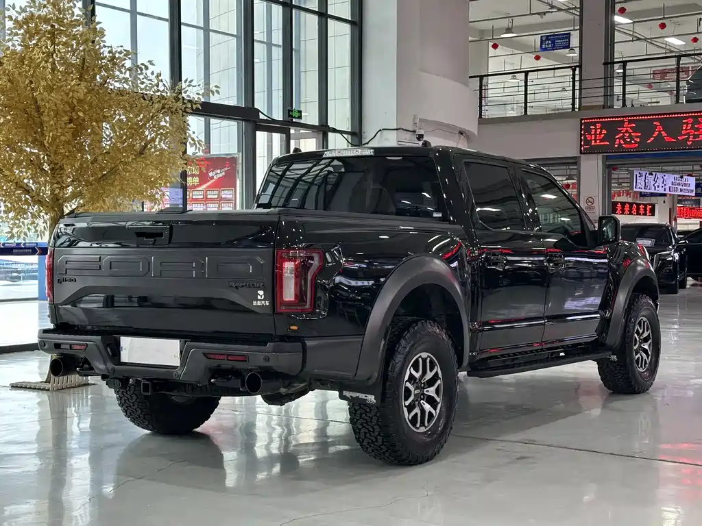Ford F-150 Raptor 2018 — фото 13