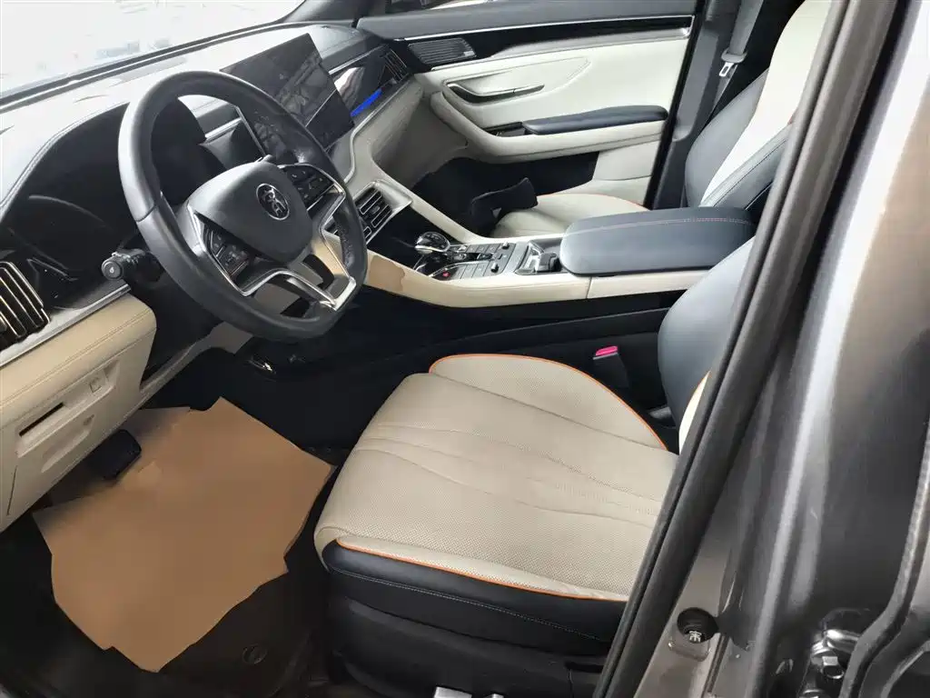 BYD PLUS New Energy 2022 — фото 15