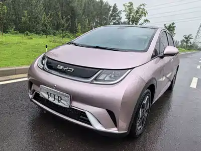 BYD Dolphin 2022