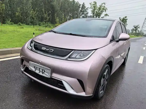 BYD Dolphin 2022