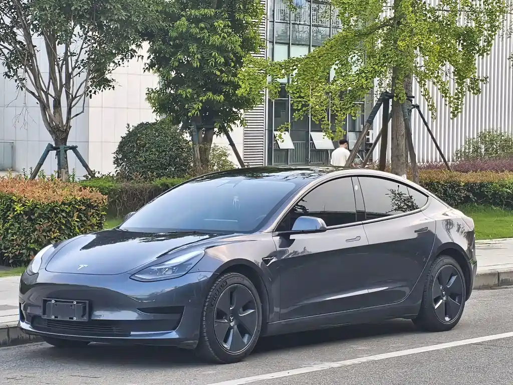 Tesla Model 3 2021 — фото 1