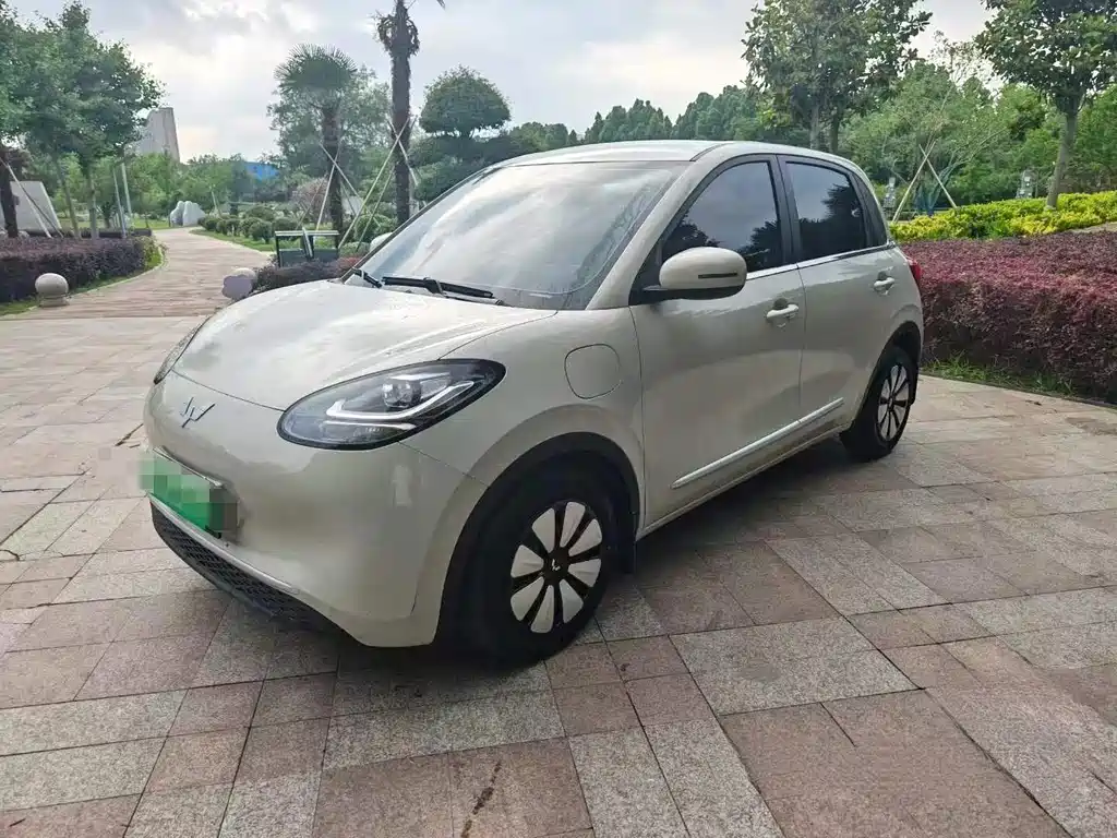 Wuling Bingo 2024