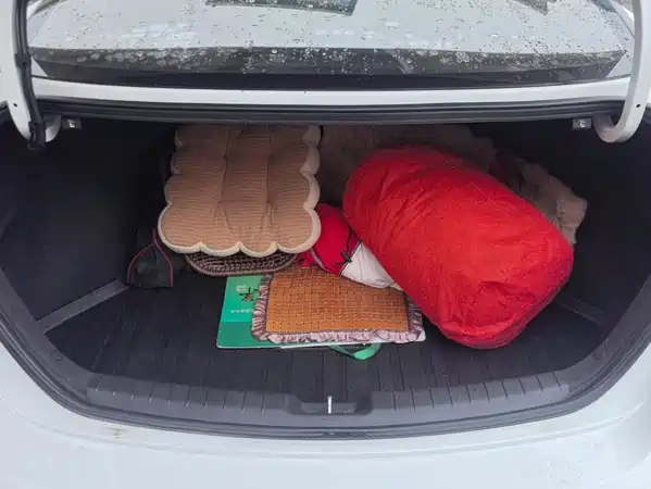 Hyundai Celesta 2020