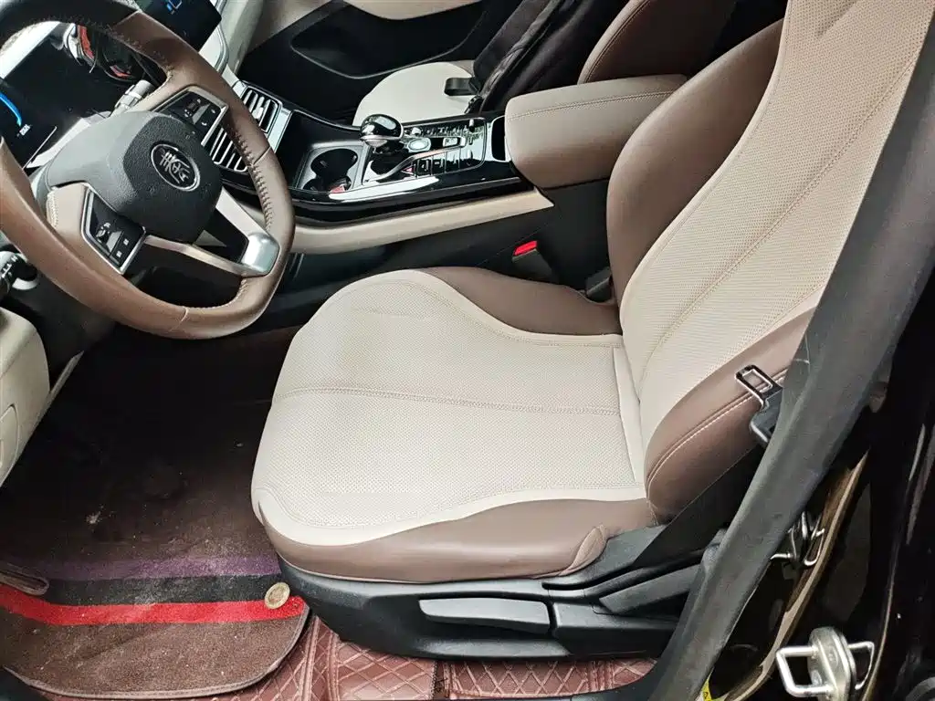 BYD Qin PLUS 2024 — фото 15