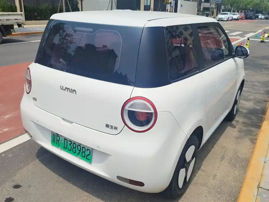 Qiyuan Lumin 2023