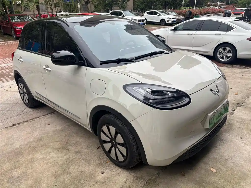 Wuling Bingo 2025