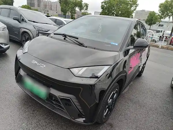BYD Seagull 2024