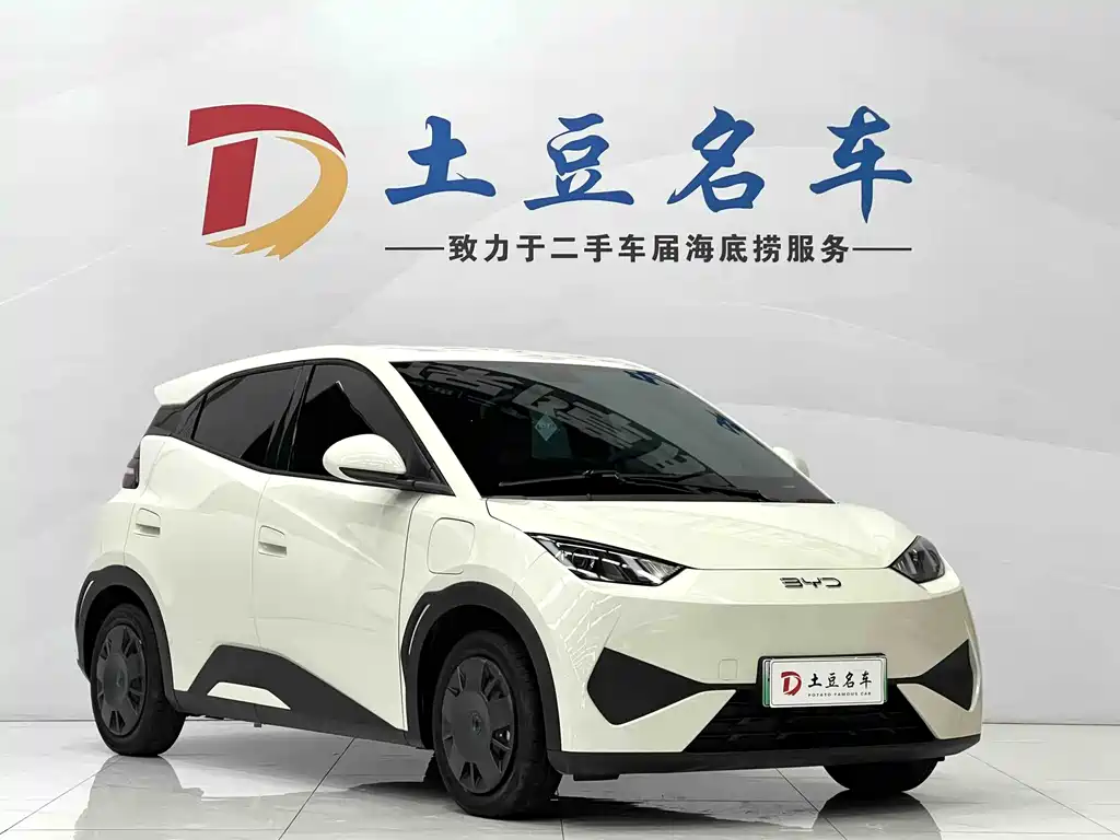 BYD Seagull 2025