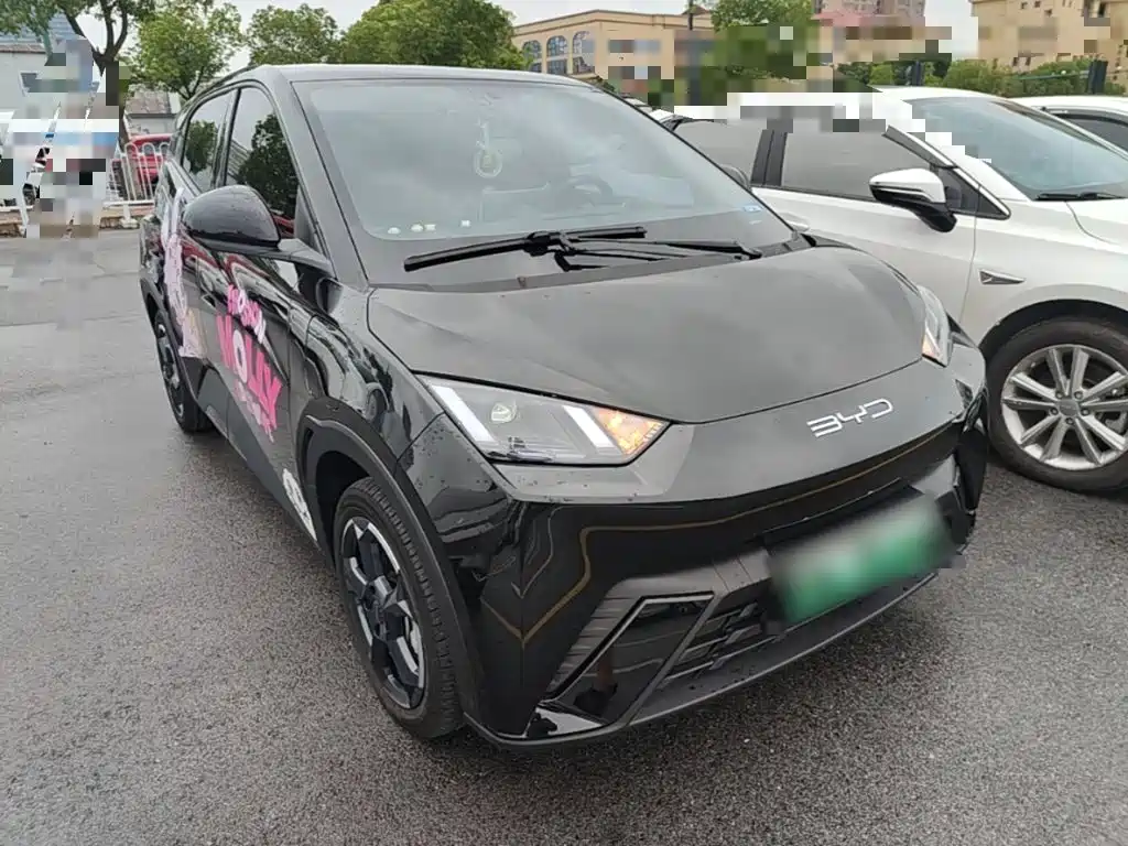 BYD Seagull 2024