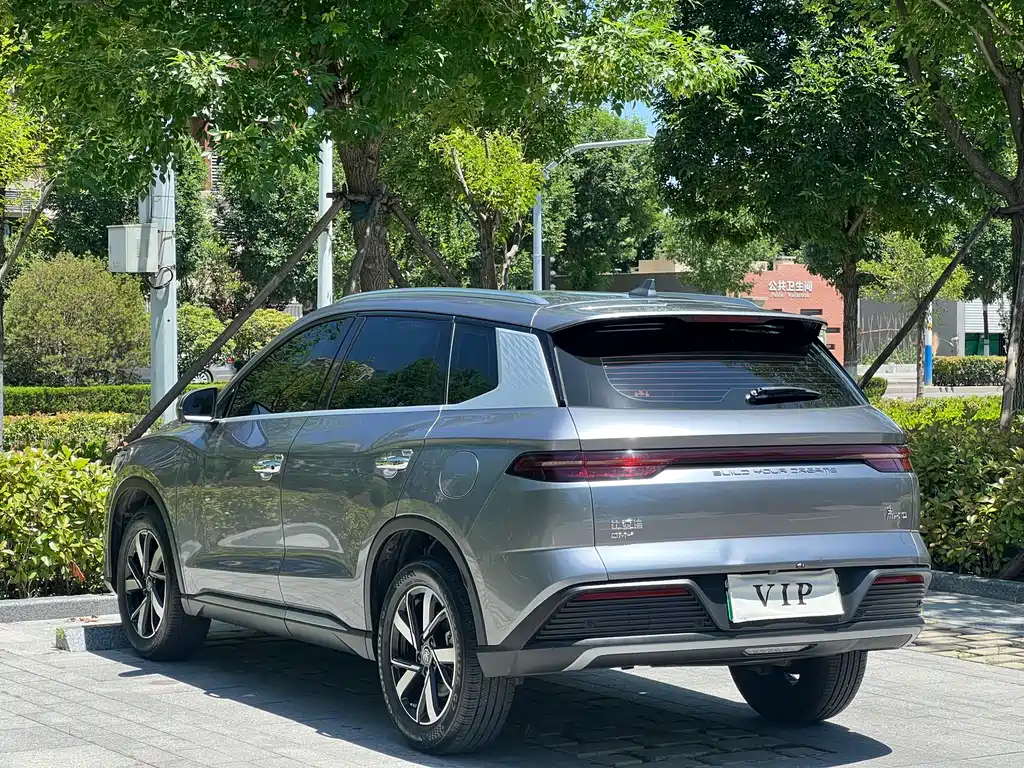 BYD Pro New Energy 2024 — фото 6