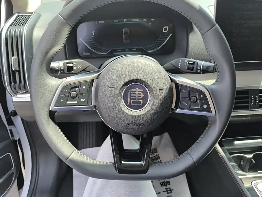 BYD Tang New Energy 2019 — фото 15