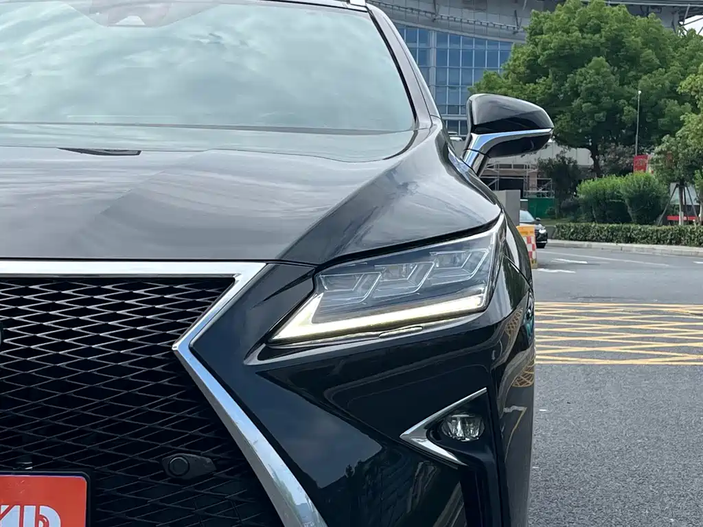 Lexus RX 2017 — фото 18