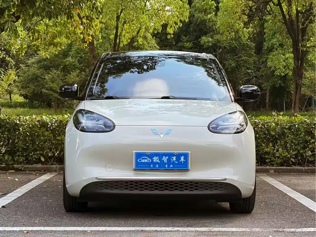 Wuling Bingo 2024