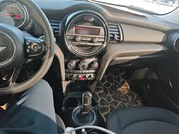 MINI MINI 2018