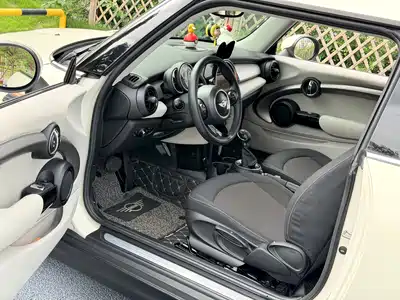 MINI MINI 2014