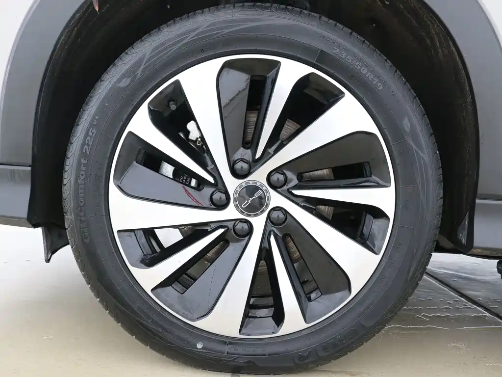 BYD PLUS New Energy 2024 — фото 16