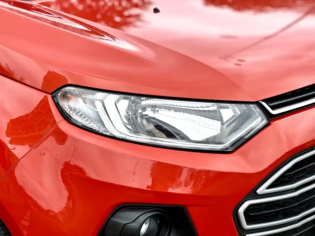 Ford Ecosport 2013 — фото 13