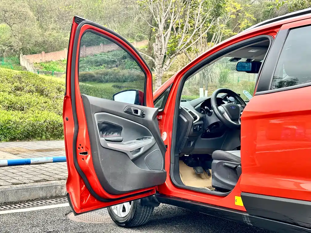 Ford Ecosport 2013 — фото 19