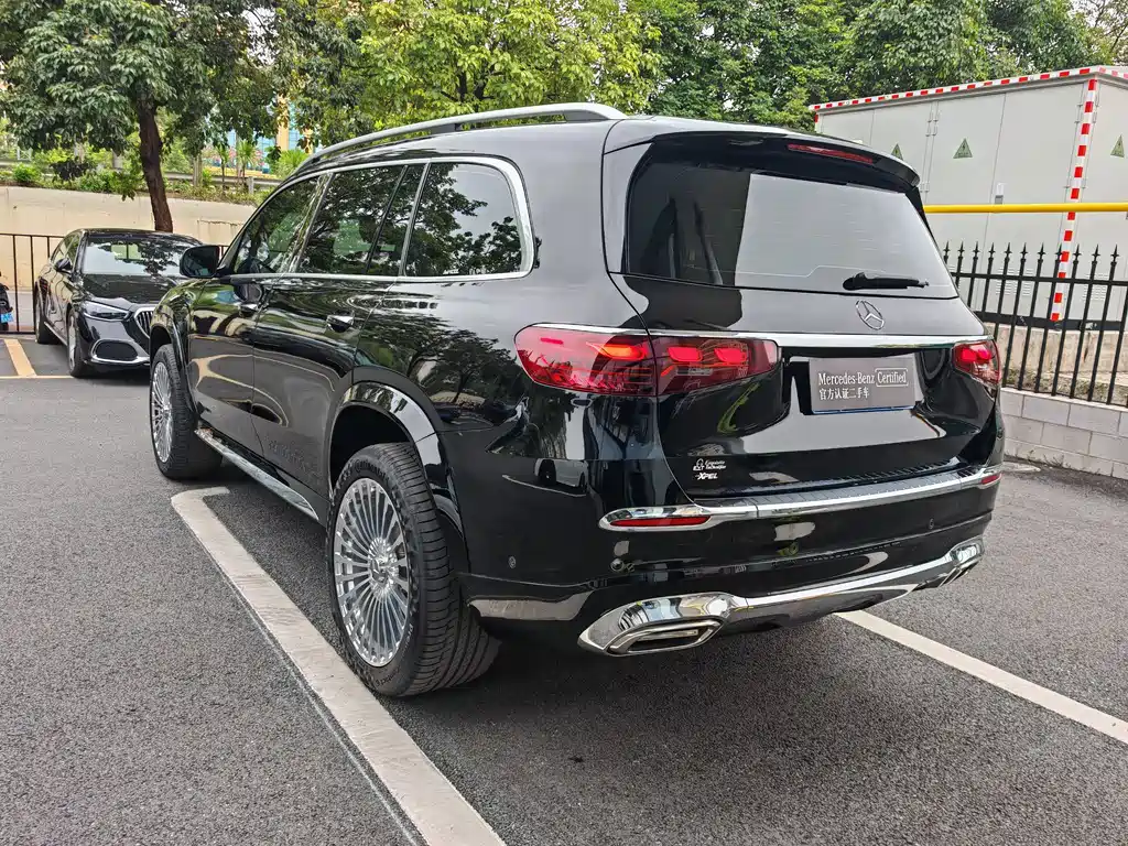 Mercedes-Benz GLS 2024 — фото 15
