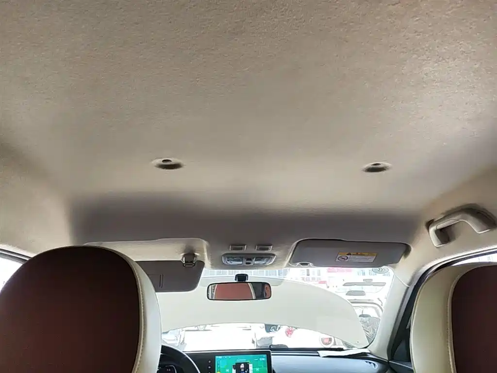 Ora White Cat 2021 — фото 18