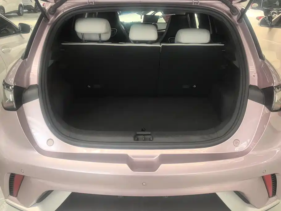 BYD Dolphin 2024