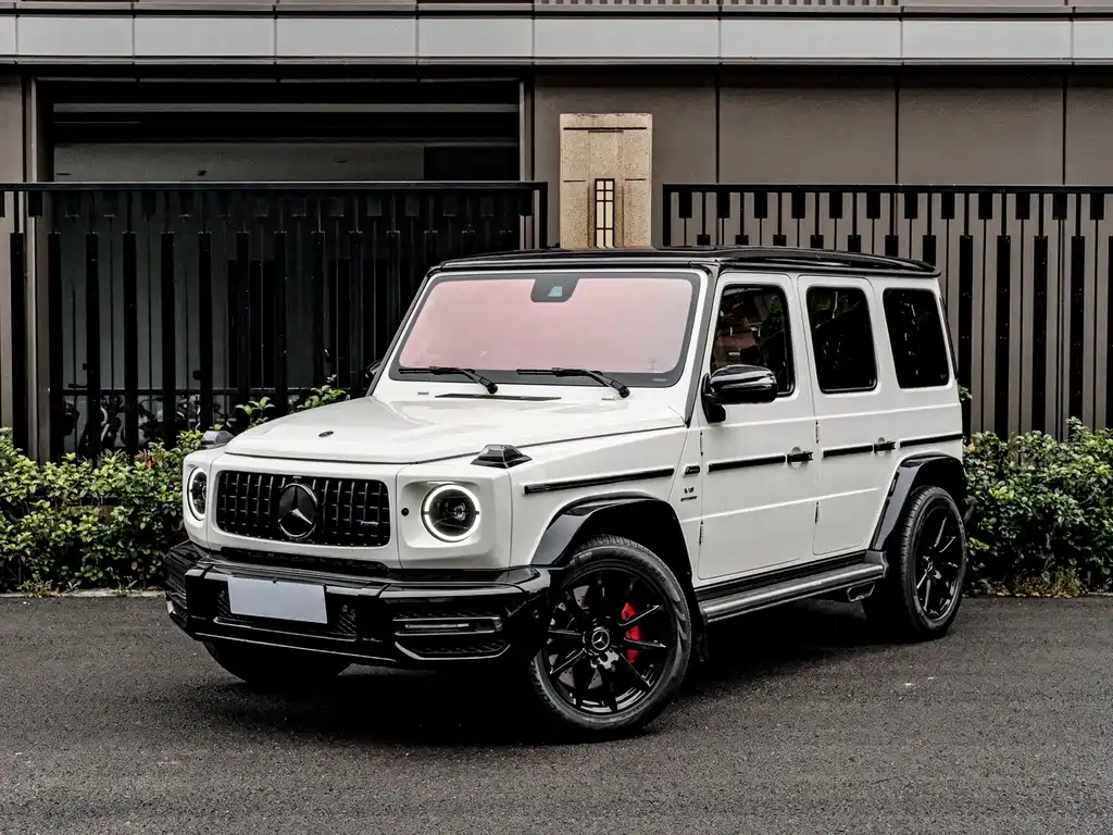 Mercedes-Benz G-Class 2018 — фото 1