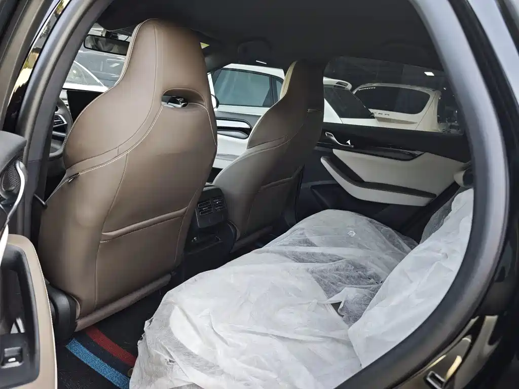BYD Qin PLUS 2024 — фото 10