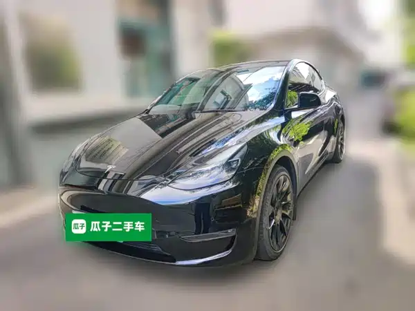 Tesla Model Y 2021