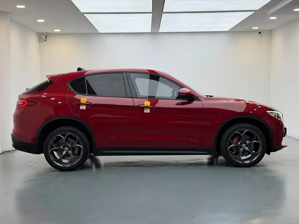 Alfa Romeo Stelvio 2019 — фото 19