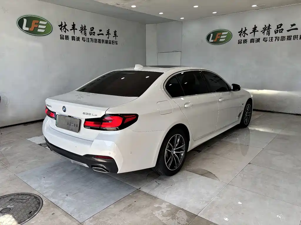 BMW 5 Series New Energy 2022