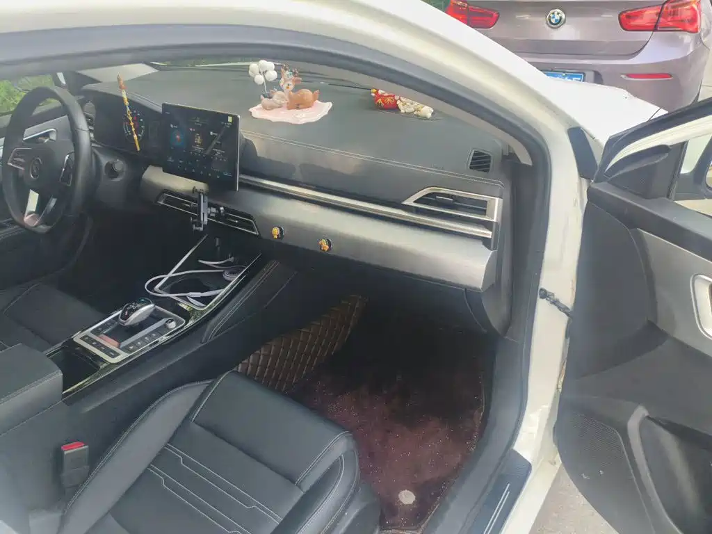 BYD Qin NEV 2020 — фото 19