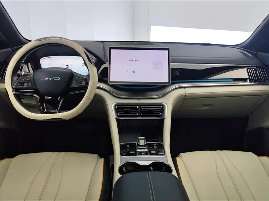 BYD Song PLUS New Energy 2024 — фото 12
