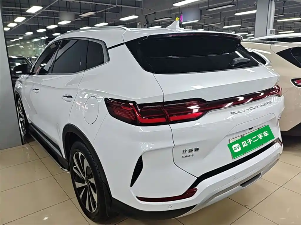 BYD PLUS New Energy 2023 — фото 5