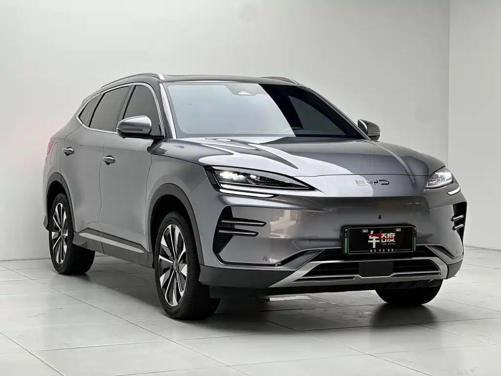 BYD PLUS New Energy 2024 — фото 3