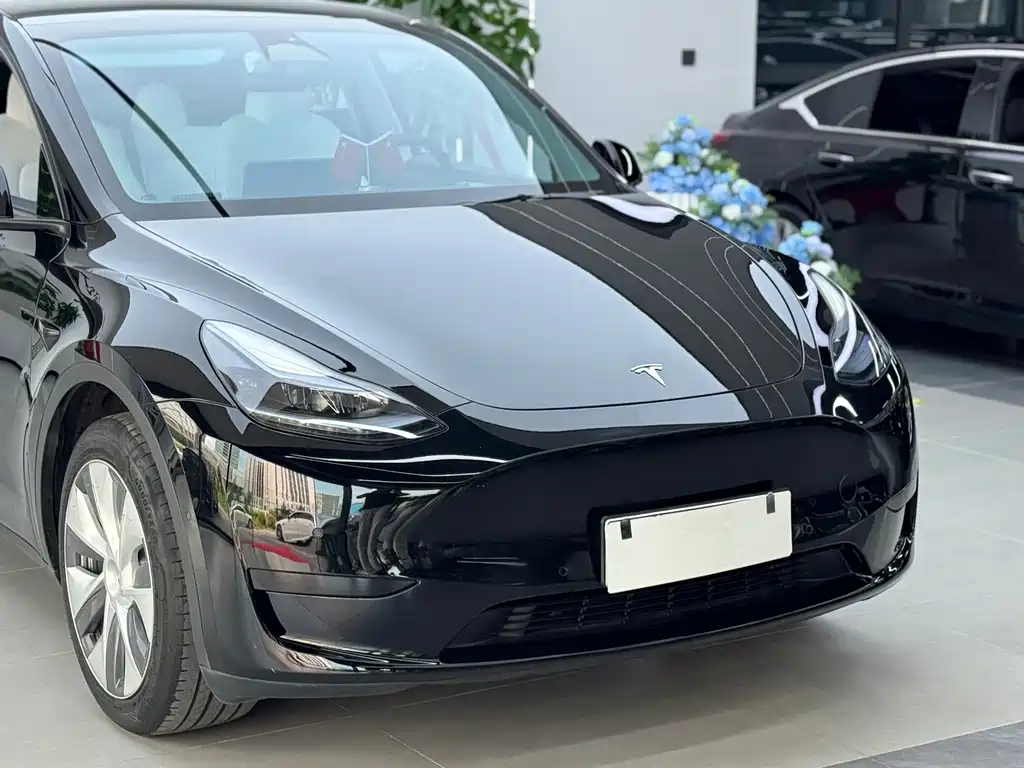 Tesla Model Y 2023 — фото 16
