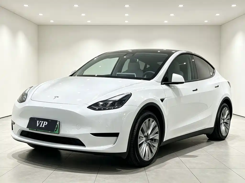 Tesla Model Y 2023 — фото 3