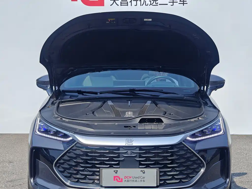 BYD Tang New Energy 2023 — фото 8
