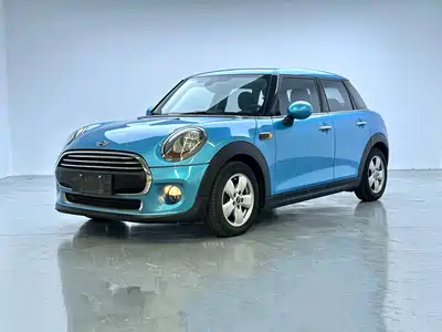 MINI MINI 2015