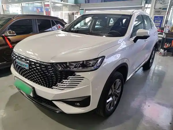 Haval H6 New Energy 2022
