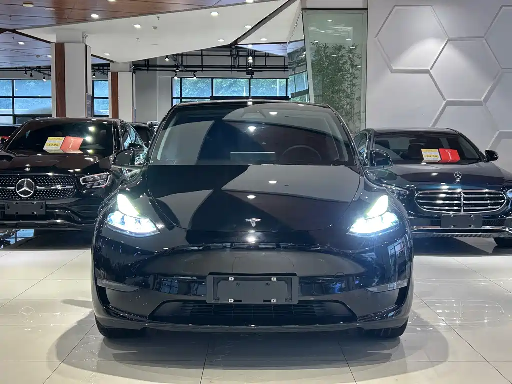Tesla Model Y 2021 — фото 3