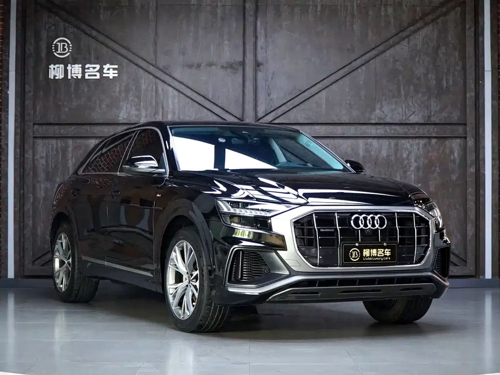 Audi Q8 2023 — фото 22