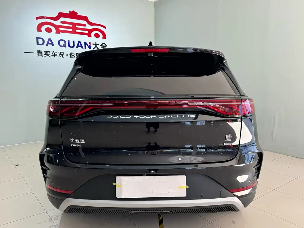 BYD Tang New Energy 2025 — фото 10