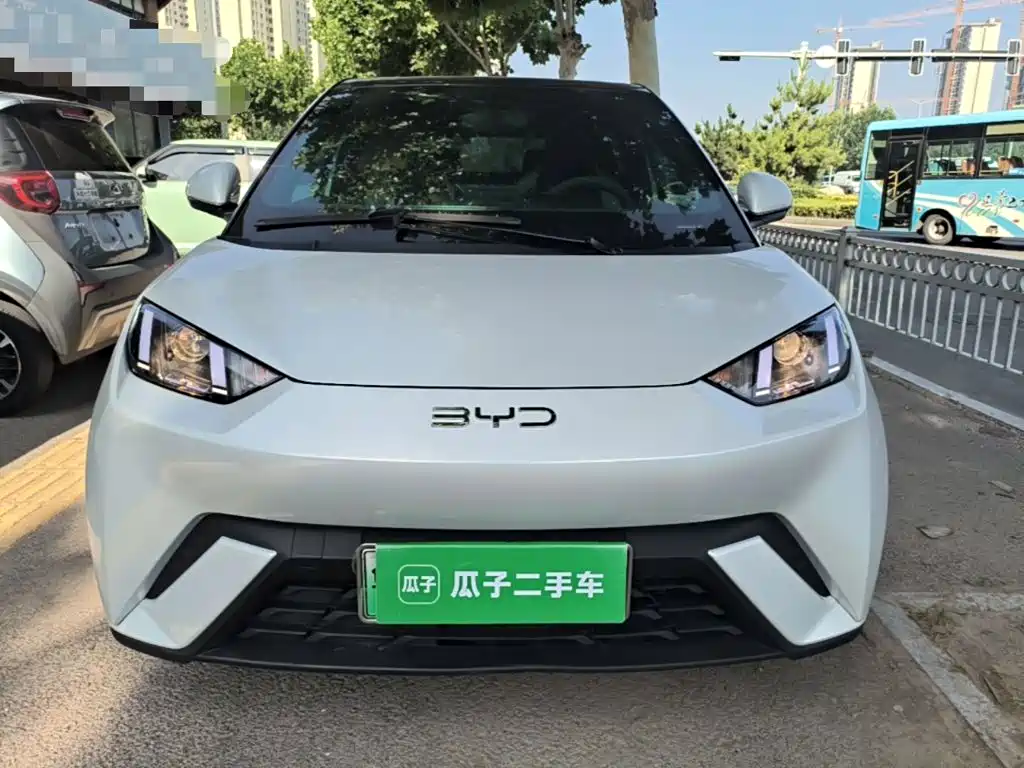 BYD Seagull 2024