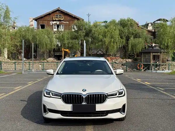 BMW 5 Series 2021